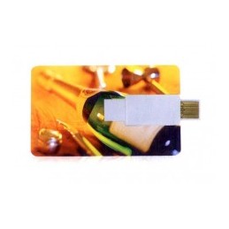 Memoria USB 1 GB. Tarjeta...